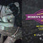 An Encyclopedia of Womens Wrestling: 100 Profiles of the Strongest in the Sport