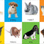 First 100 Big Board: Animals: In the bestselling First 100 series