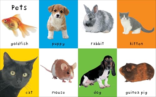 First 100 Big Board: Animals: In the bestselling First 100 series