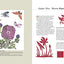 Beginner's Guide to Chinese Paper Cutting