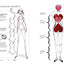 Fabulous Figures (I Heart Drawing)