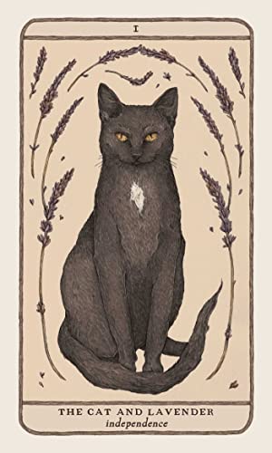Woodland Wardens: 52-Card Oracle Deck & Guidebook