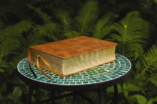 The Jesus Bible, NIV Edition, Leathersoft, Tan, Comfort Print
