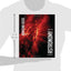 Foundations of Astronomy (Available 2011 Titles Enhanced Web Assign)