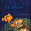 College Algebra