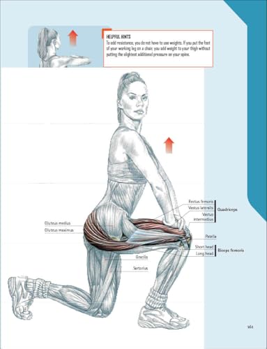The Strength Training Anatomy Workout: Starting Strength