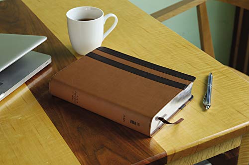 NIV, Student Bible, Leathersoft, Brown