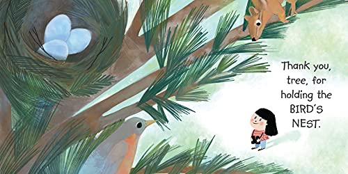 Thank You, Tree: A Board Book