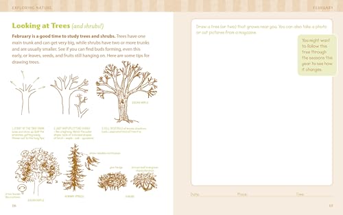 The Nature Connection: An Outdoor Workbook for Kids, Families, and Classrooms