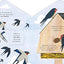 Bird House (A Clover Robin Book of Nature)