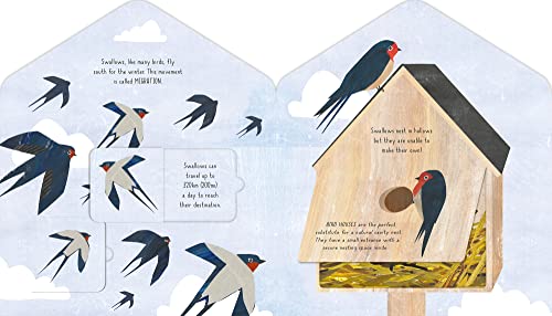 Bird House (A Clover Robin Book of Nature)