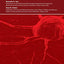 Cancer Health Equity Research (Volume 146) (Advances in Cancer Research, Volume 146)