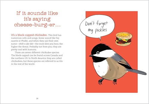 Bird Talk: Hilariously Accurate Ways to Identify Birds by the Sounds They Make