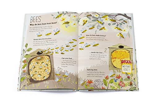 The Big Book of Bugs
