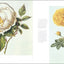 The Rose: An Illustrated History