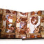 Michelangelo, the Sistine Chapel (Rizzoli Quadrifolio)