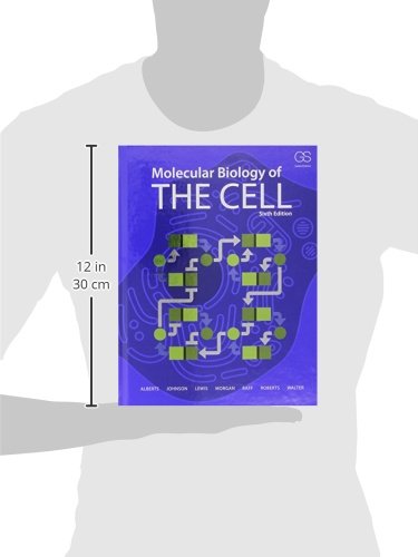 Molecular Biology of the Cell by Alberts, Bruce (Paperback)