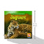 Jaguars (Animals That Live in the Rain Forest)