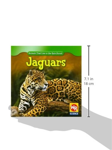 Jaguars (Animals That Live in the Rain Forest)