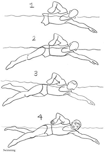 How to Draw Sports: Step-by-Step Drawings! (Dover How to Draw)