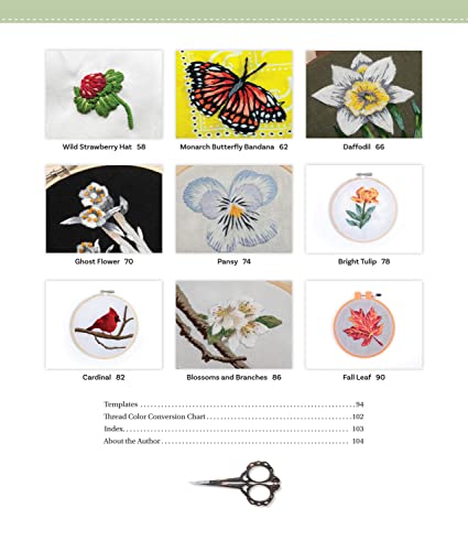 Beginner's Guide to Embroidery and Needle Painting: Create Your Own Nature-Inspired Designs with 18 Projects (Landauer) Learn How to Design Thread Painting Patterns from Photos Step-by-Step