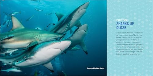 Sharks for Kids: A Junior Scientist's Guide to Great Whites, Hammerheads, and Other Sharks in the Sea
