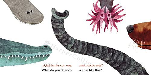 What Do You Do with a Tail Like This? Bilingual Edition: A Caldecott Honor Award Winner