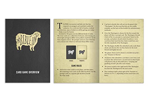 The Bible Is Funny Card Game: The Party Game of Hilarious Pa