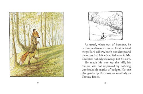 The Tale of Mr. Tod (Peter Rabbit)
