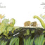Dinosaurs And All That Rubbish