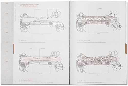Julia Watson: Lo-Tek; Design by Radical Indigenism