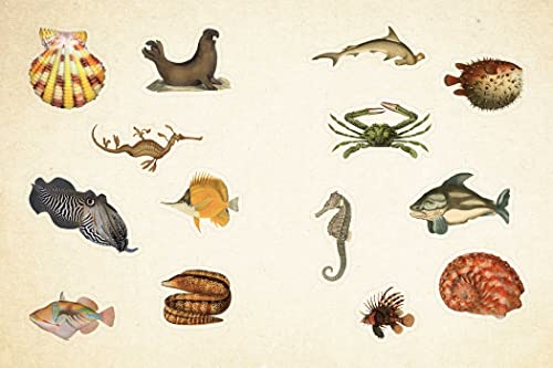 Cabinet of Curiosities: Over 1,000 Curated Stickers from the Fascinating Collections of the Smithsonian (Smithsonian Sticker Books)
