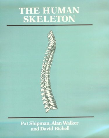 The Human Skeleton