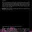 Clubbing: Dancing, Ecstasy, Vitality (Critical Geographies)