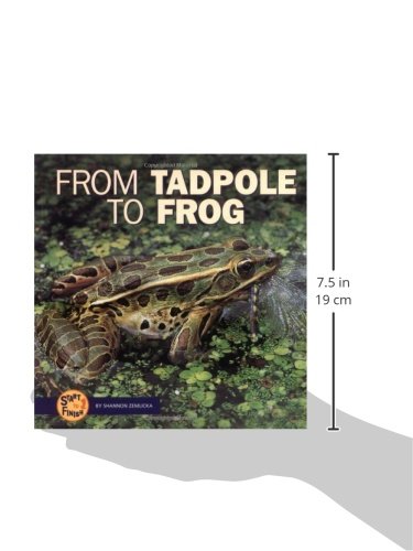 From Tadpole to Frog (Start to Finish) — back cover