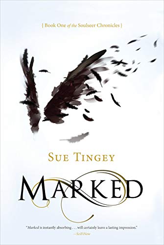 Marked (Soulseer Chronicles, 1)