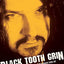 Black Tooth Grin: The High Life, Good Times, and Tragic End of "Dimebag" Darrell Abbott