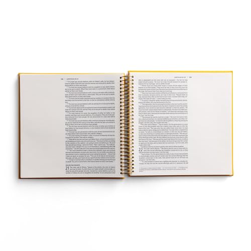 NIV Illustrating Bible Yellow: Genesis to Deuteronomy