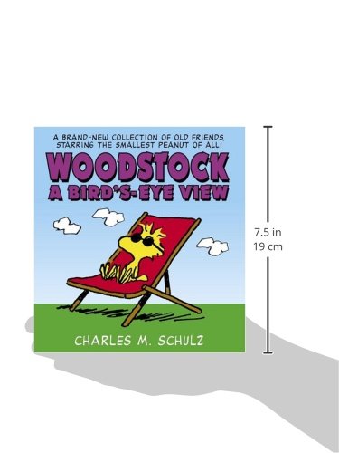 Woodstock A Bird's-Eye View