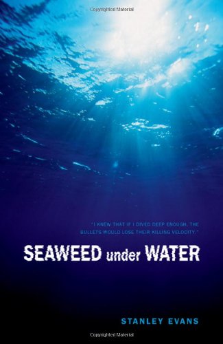 Seaweed Under Water (Touchwood Mystery)