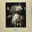 Sally Mann: A Thousand Crossings