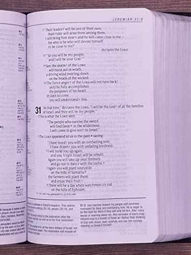 NIV, Life Application Study Bible, Second Edition, Large Print, Bonded Leather, Black, Red Letter Edition