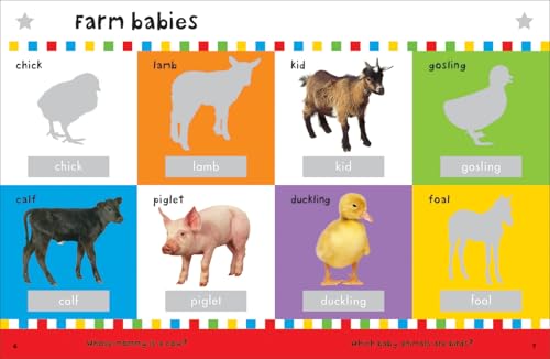 First 100 Animals Stickers Book: 500 Stickers