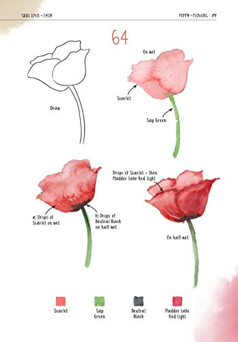 Watercolor Success in Four Steps: 150 Skill-Building Projects to Paint (Design Originals) Learn Watercolor Painting Step-by-Step for Beginners with Easy Techniques and Simple Lessons