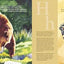 C is for Cowboy: A Wyoming Alphabet (Discover America State by State)