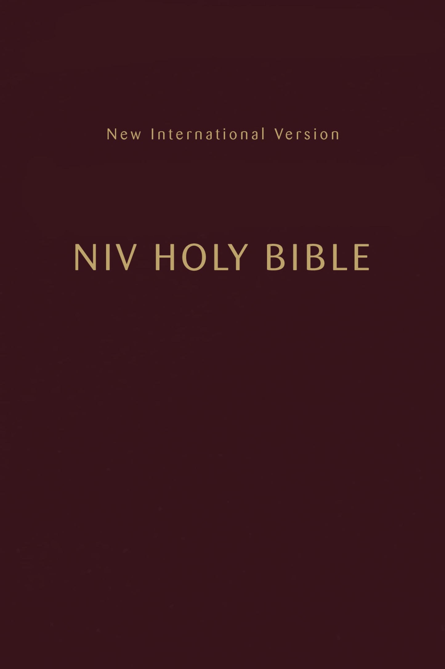 NIV, Holy Bible, Compact, Paperback, Burgundy, Comfort Print