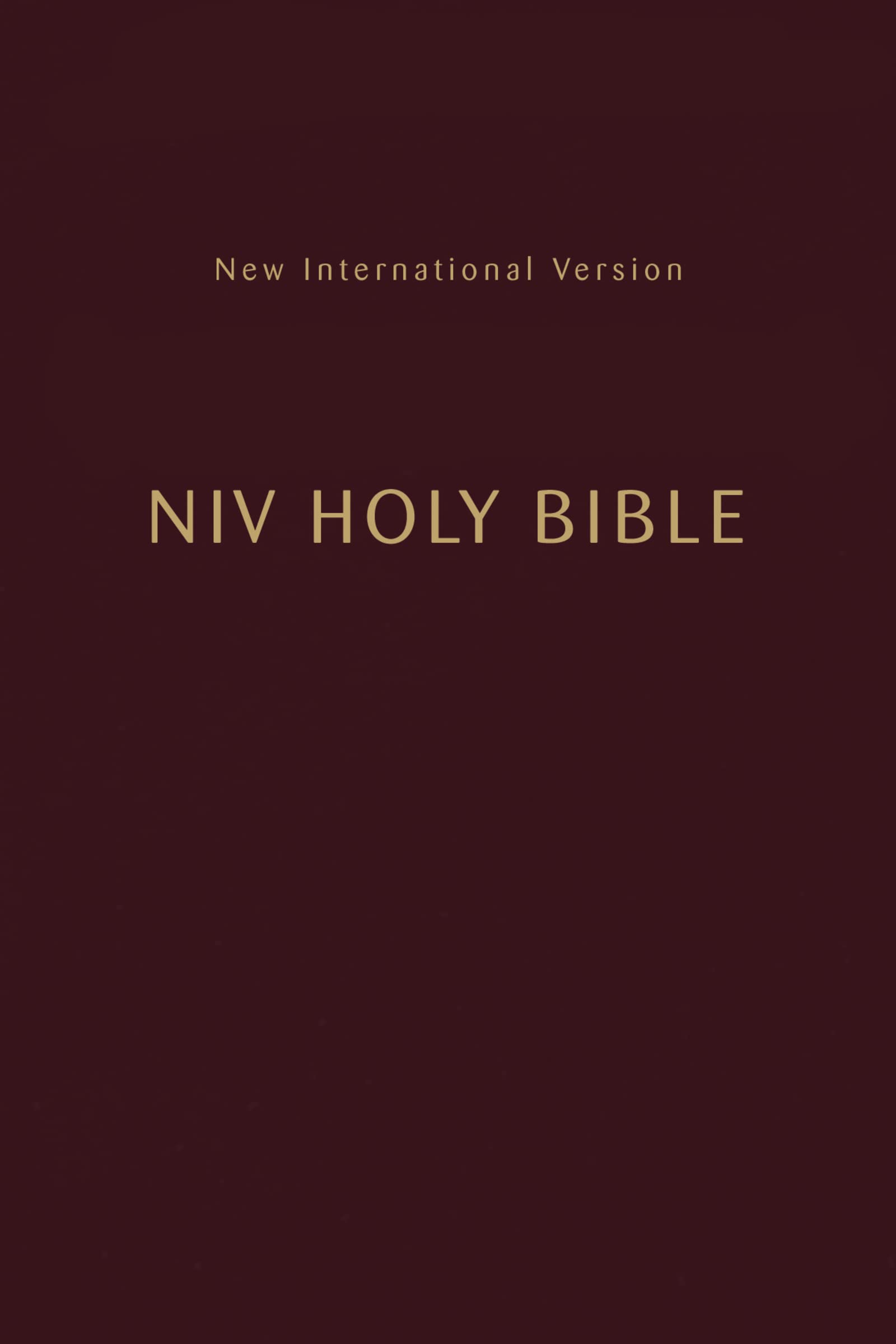 NIV, Holy Bible, Compact, Paperback, Burgundy, Comfort Print