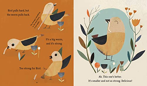 Bird Builds a Nest: A First Science Storybook