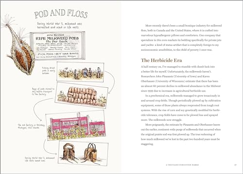 The Milkweed Lands: An Epic Story of One Plant: Its Nature and Ecology