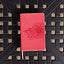 NIV, Premium Gift Bible, Youth Edition, Leathersoft, Coral, Red Letter, Comfort Print: The Perfect Bible for Any Gift-Giving Occasion
